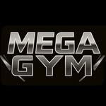 Mega Gym